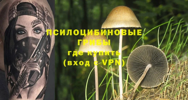 круглые Алексеевка