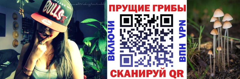 Псилоцибиновые грибы MAGIC MUSHROOMS  Вихоревка 